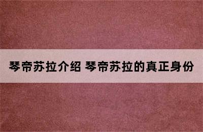 琴帝苏拉介绍 琴帝苏拉的真正身份